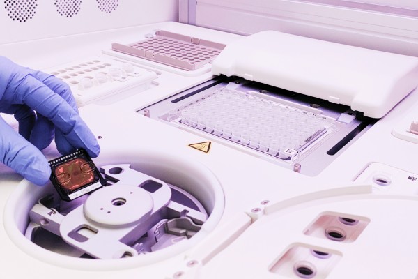 Genetic Insights into Acne, Androgenetic Alopecia, and Alopecia Areata: Implications for Mechanisms and Precision Dermatology